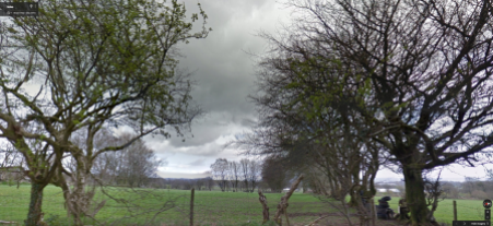 Greener days: the trees as they were (Google street view)